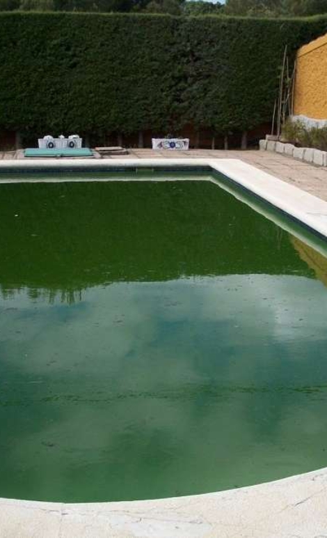 Agua-esverdeada-1024x658